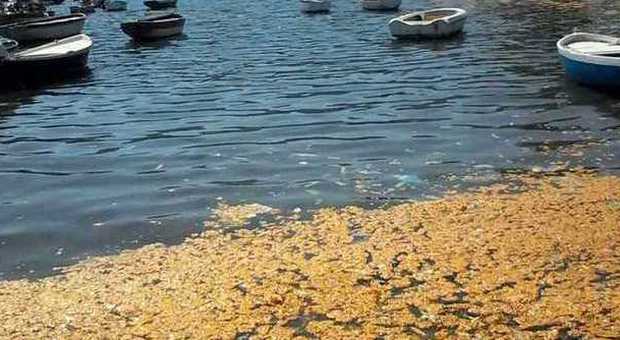 Napoli. Choc a Mappatella beach: c'è una grossa chiazza gialla in mare, bagnanti in fuga