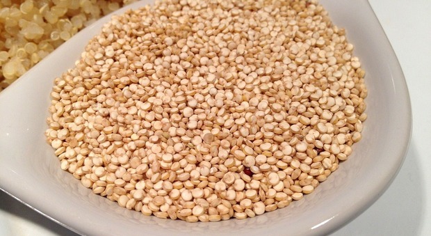 Quinoa, ottima non solo per i celiaci. Aiuta la digestione e combatte il colesterolo