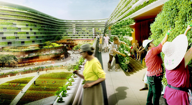 immagine Singapore, casa di riposo trasformata in fattoria del futuro 