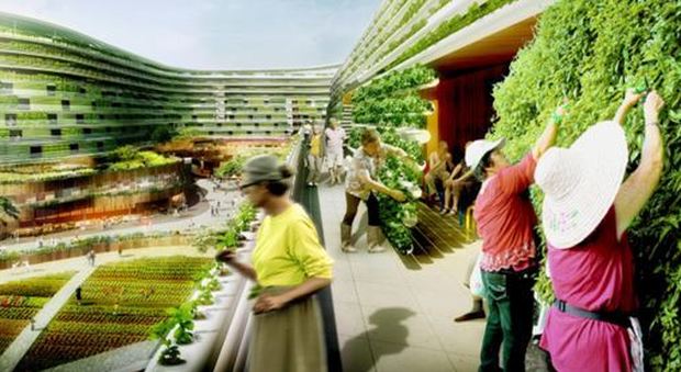 immagine Singapore, la casa di riposo trasformata in fattoria del futuro