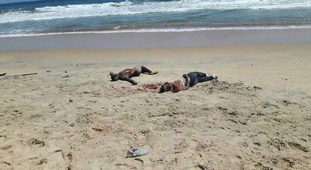 Costa d'Avorio, commando attacca due resort di turisti occidentali: molti morti e feriti