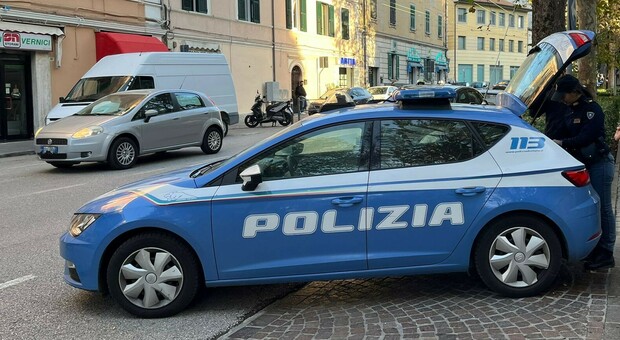 Rapisce un cane a Bologna, viene rintracciato ad Ancona: 35enne denunciato per appropriazione indebita