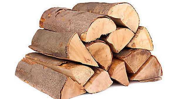 Capaccio Paestum: la legna tagliata su aree demaniali andrà ai cittadini più disagiati