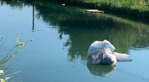 Sacchi stracolmi di rifiuti gettati nel canale Piavesella tra Spresiano e Villorba