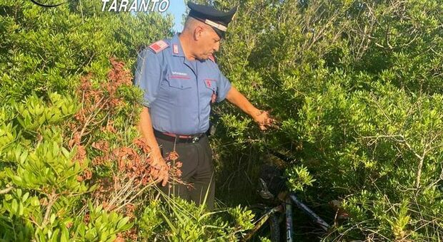 Anziano colto da malore per il troppo caldo si perde nelle campagne: ritrovato dopo ore dai carabinieri