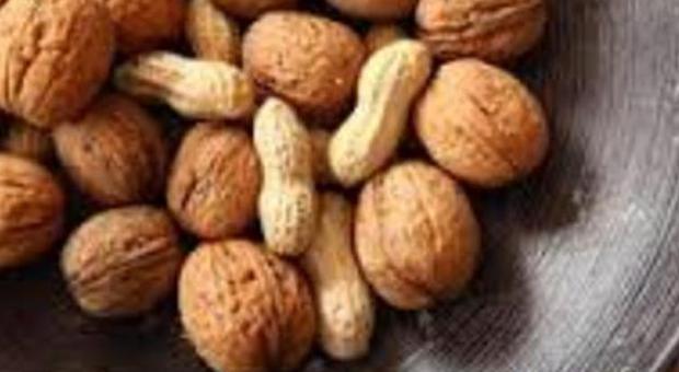 Dieci grammi al giorno di noci e arachidi allungano la vita