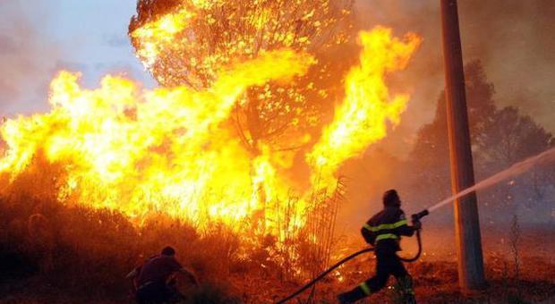 Brucia il Cilento, le fiamme devastano le colline di Agropoli: è caccia ai piromani