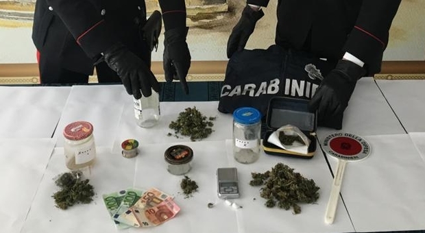 Fossombrone, carpentiere con l'hobby della marijuana arrestato dai carabinieri