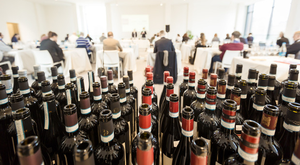 Taste Alto Piemonte Napoli, i vini dell’Alto Piemonte in trasferta a Napoli per la prima volta