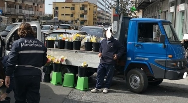 Bancarelle abusive di mimose a Fuorigrotta (foto Polizia municipale Napoli)