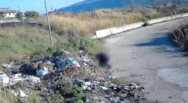 Rifiuti abbandonati a San Lorenzo e Campolattaro: incastrati dai video