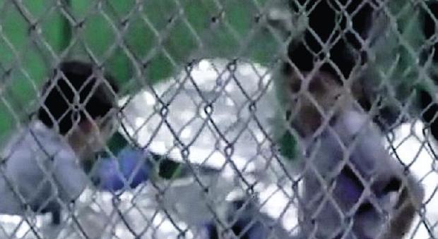 Texas, il video che indigna il mondo bimbi in gabbia derisi dagli agenti