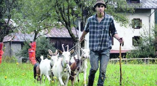 Mirko Zasso, 18 anni e un'idea fissa: dopo gli studi allevare capre in montagna