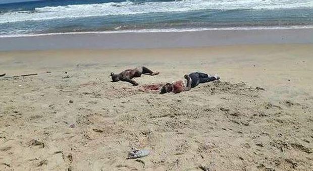 Costa D'Avorio, sparatoria in un resort (Twitter)