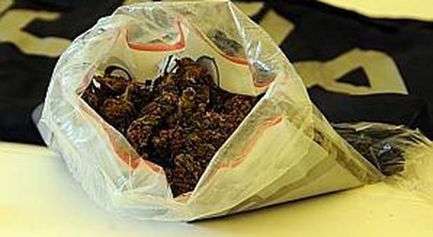 Nelle mutande del ragazzino trovati 25 grammi di marijuana già suddivisi in dosi