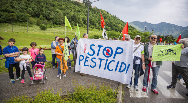 «Vietare tutti i pesticidi»: nato il comitato per il referendum