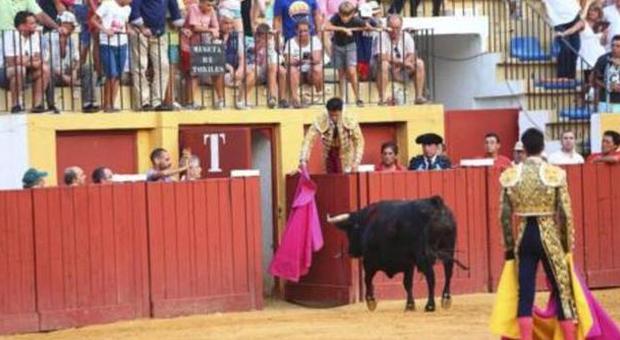 Spagna, corrida con finale inaspettato: il matador grazia il toro dopo la contestazione