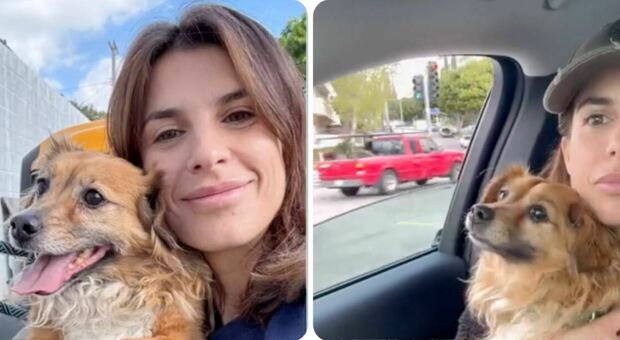 Elisabetta Canalis adotta il cane Charlie: «Abbandonato a 10 anni e chiuso in gabbia»