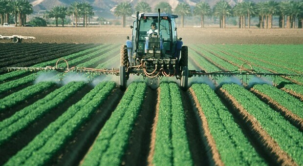 Agricoltura, un quarto dei raccolti a rischio se il settore non si adatta al clima