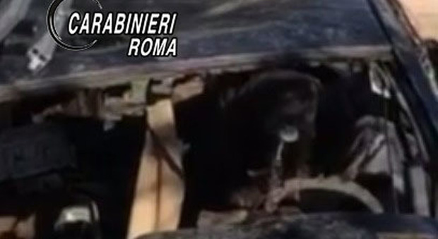 Roma, cani legati a carcasse di auto incendiate: denunciati tre romeni