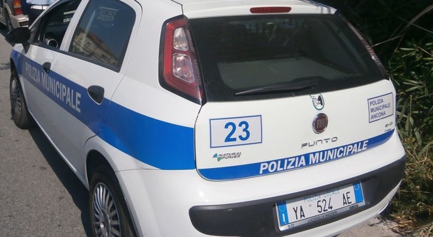 Ancona, piomba in contromano sull'auto dei carabinieri: multato