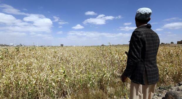Alimentazione, Onu: «Anno pandemia segna bruscamente impennata fame nel mondo»