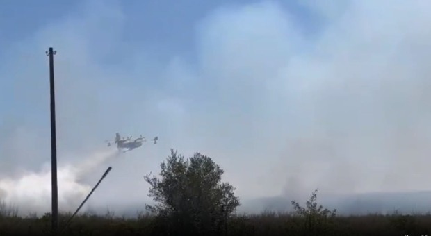 Vasto incendio in provincia di Taranto: bruciati cinque ettari di vegetazione. Interviene un canadair. Video