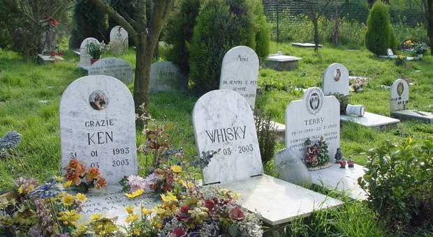 Un cimitero per animali in Campania. Ora anche a Treviso, dopo la richiesta delle agenzie funebri, ne verranno realizzati quattro