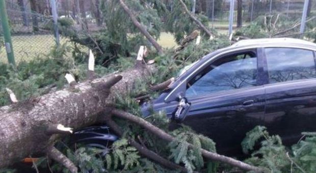 Vercelli, automobilista muore schiacciato da un albero