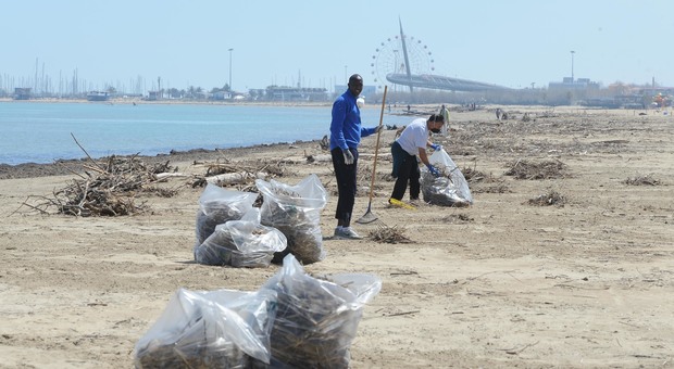 immagine Pescara, la fase 2 parte con la pulizia delle spiagge (foto Max Schiazza)