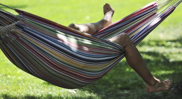 Turista dorme sull'amaca in pineta: multato per 300 euro