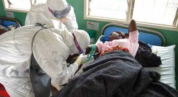 Ebola, il vaccino spray nasale funziona: "I test sulle scimmie sono positivi"