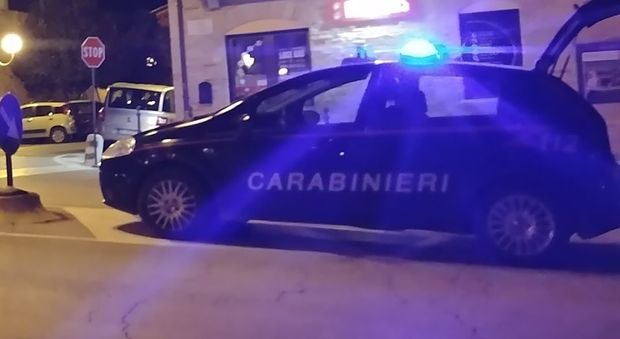 Pesaro, tagliano il recinto e caricano i bancali sul furgone: denunciati