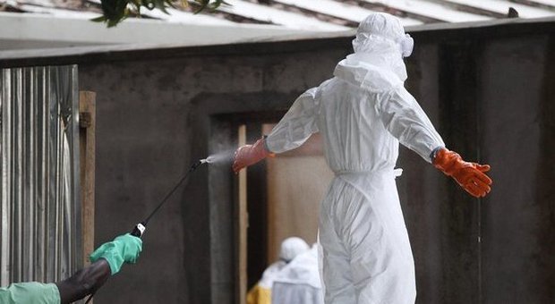 Ebola, antidoto possibile: usato siero top secret per curare due americani