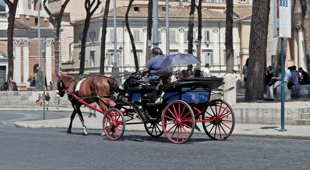 Botticelle, il Tar dà ragione ai vetturini: a Roma cavalli in strada per tutta l'estate