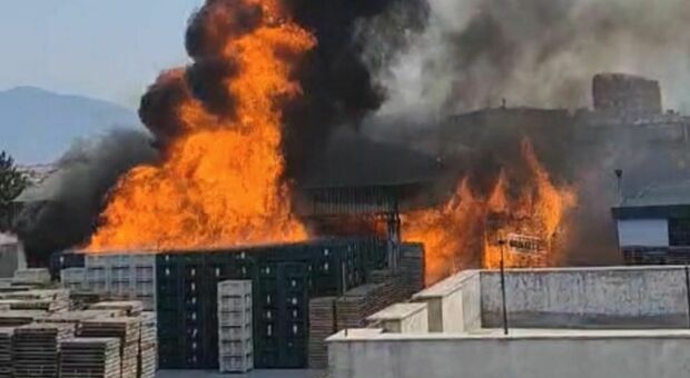 Incendio alla fabbrica La Torrente a Sant'Antonio Abate, evacuate le case vicine: paura tra i residenti