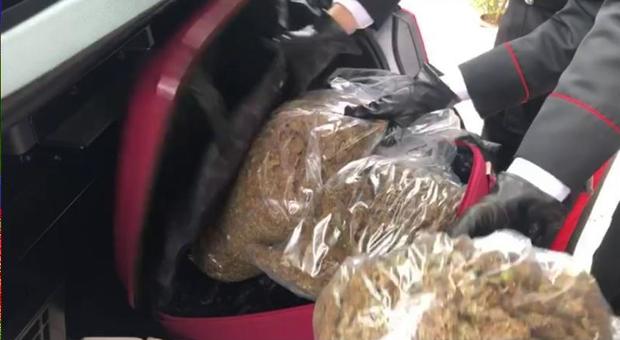Si aggira per l'autostazione con 2,7 kg di marijuana nel bagaglio: arrestato