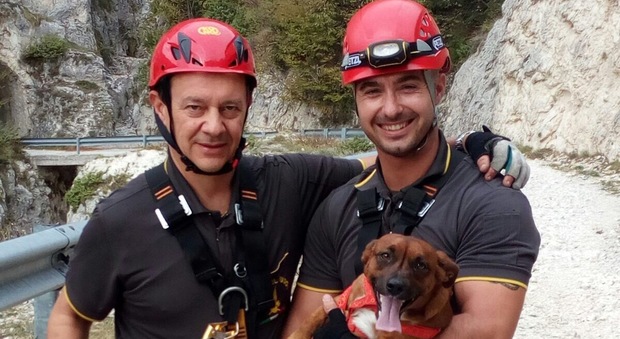 Chieti, un cane cade in un dirupo: lo salvano i vigili del fuoco