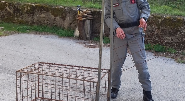 Rieti, interventi antibracconaggio dei Carabinieri Forestali: due persone deferite alla Procura