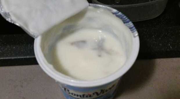 Vermi nello yogurt dell'asilo, genitori infuriati: scatta la denuncia ai Nas