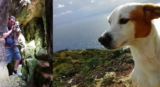 Stefano, chef morto a 44 anni stroncato dal malore mentre fa jogging: il suo cane lo veglia in spiaggia