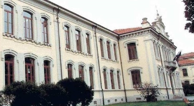 Rissa davanti alla scuola Dante a Udine, bambini terrorizzati