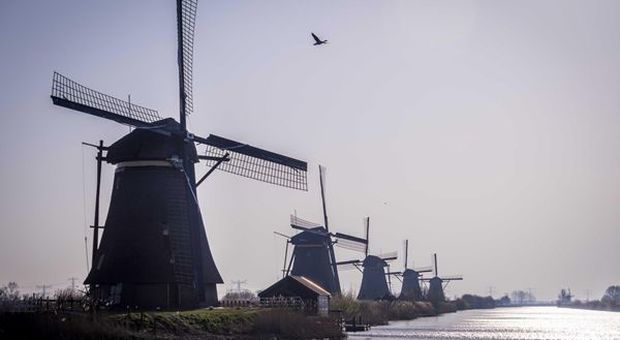 L'Olanda dice no agli Eurobond: sì a Mes ma con condizioni