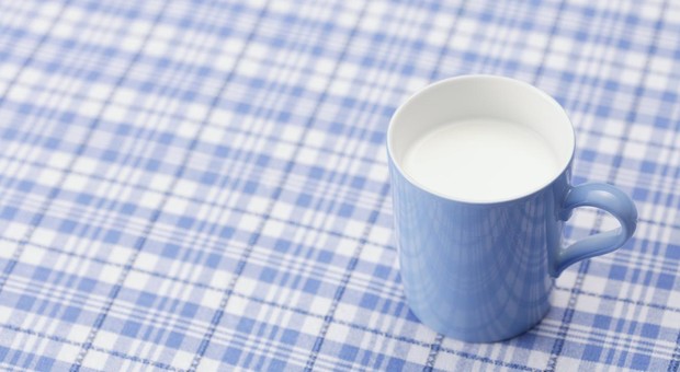 Tumori, consumare latte e formaggi riduce il rischio di ammalarsi