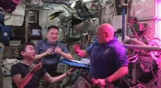Spazio, gli astronauti mangiano la prima insalata fresca raccolta sull'Iss: è lattuga romana Video
