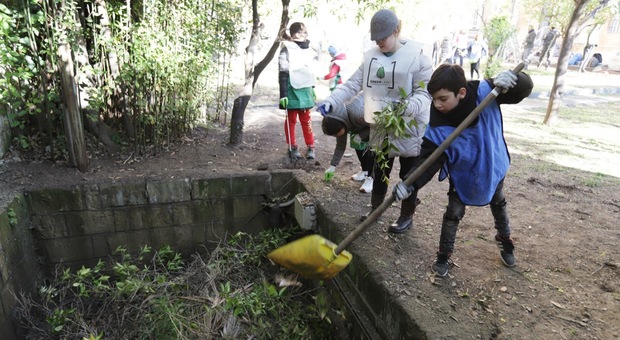 La carica dei volontari: ripulito il Giardino degli Aranci nell’Archivio di Stato di Napoli