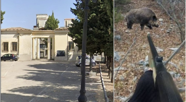 Cacciatori di cinghiali “invadono” il cimitero a Frosinone: l'ingresso (mentre la gente pregava) per recuperare un animale ucciso