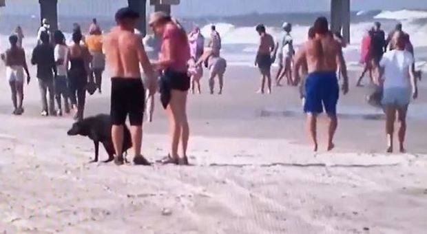 immagine Coronavirus, spiagge riaperte in Florida dopo un mese: migliaia a Jacksonville senza distanziamento