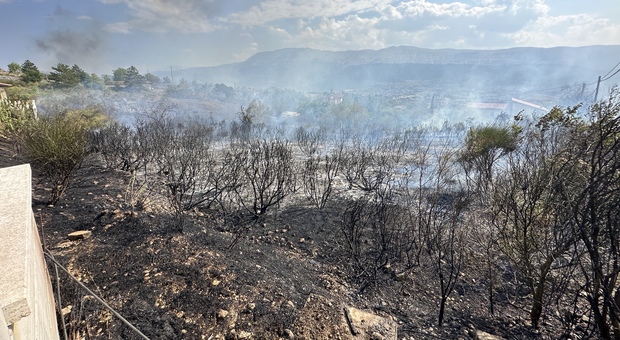 L'Aquila, vasto incendio nella zona di Colle Sapone: fiamme vicino alle abitazioni