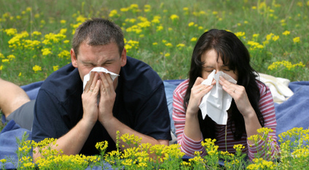 Due giovani con problemi di allergia distesi su un prato